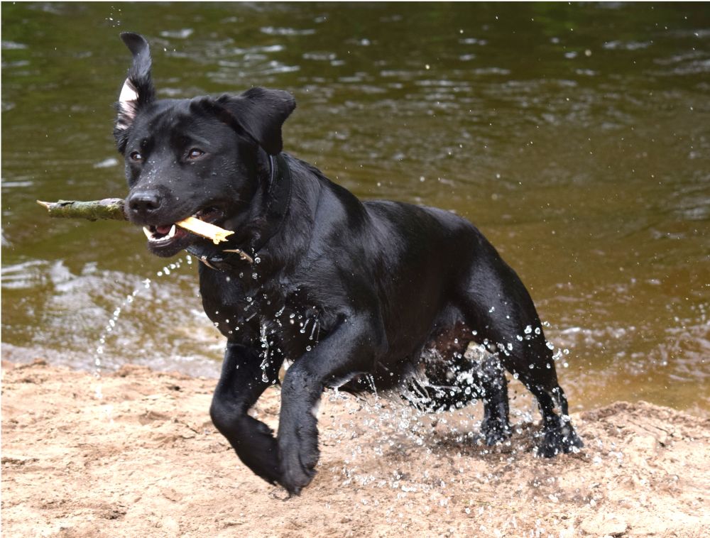 Wasser ist das Schönste für Carlee Badetag