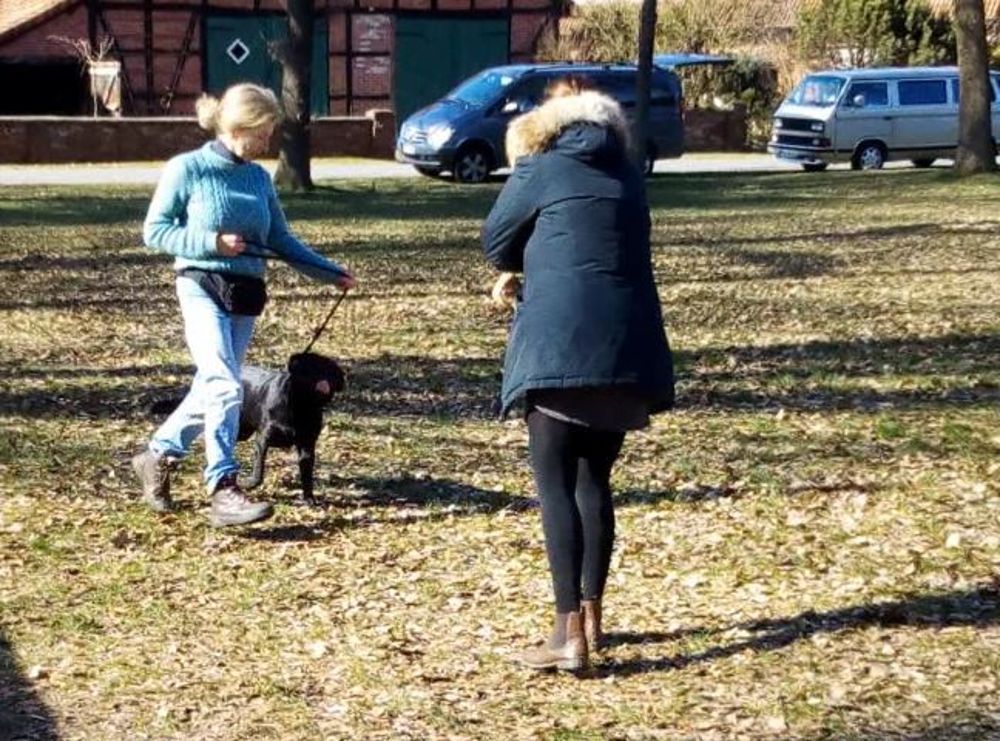 jetzt kommt's drauf an Formwert-Prüfung