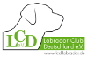 LCD Logo